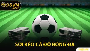 Soi Kèo Cá Độ Bóng Đá
